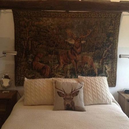Willa Plumpton Barn Ashford  Zewnętrze zdjęcie